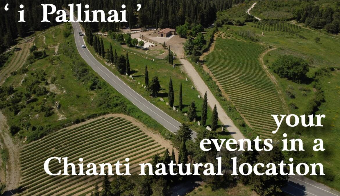 The-Pallinai-Location.jpg